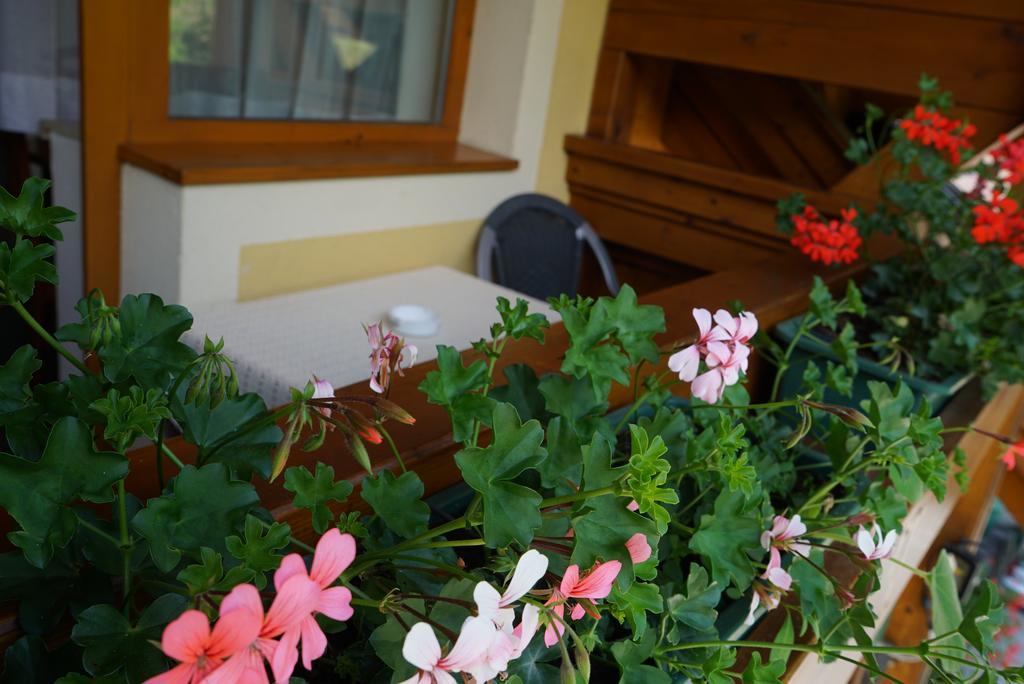 Pension Besser Bad Eisenkappel Ngoại thất bức ảnh